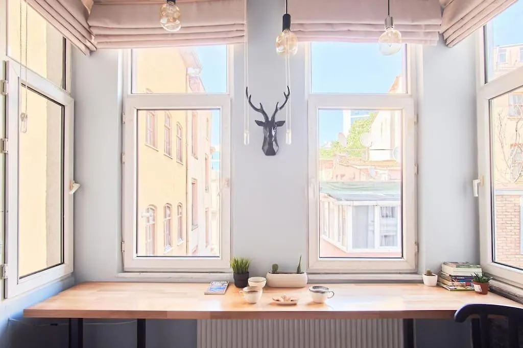 Modern&Old Style Flat In The Center Of Cihangir Istanbul Turkey