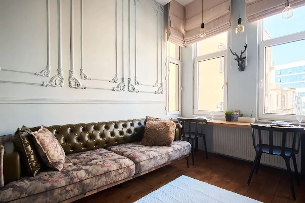 Modern&Old Style Flat In The Center Of Cihangir Istanbul Apartment