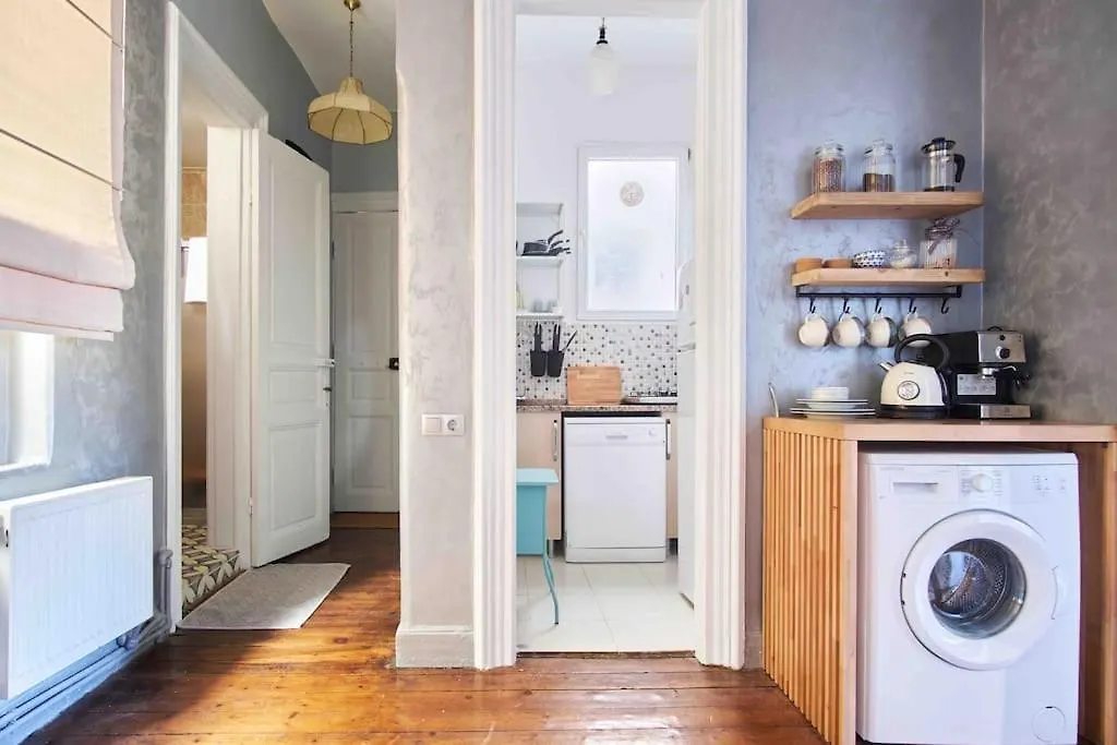 Modern&Old Style Flat In The Center Of Cihangir Istanbul Turkey