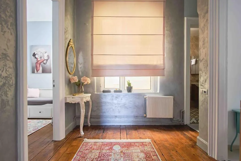 Apartment Modern&Old Style Flat In The Center Of Cihangir Istanbul Turkey