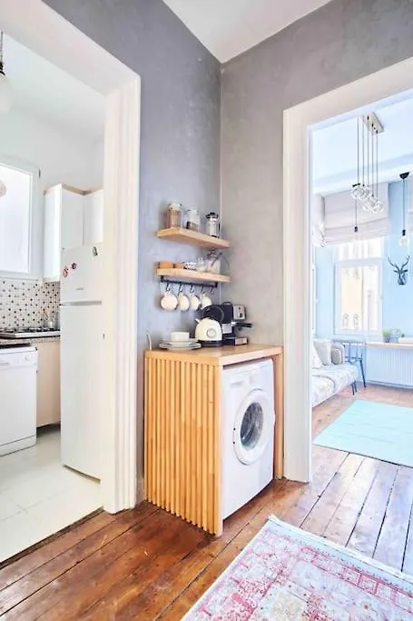 Modern&Old Style Flat In The Center Of Cihangir Istanbul