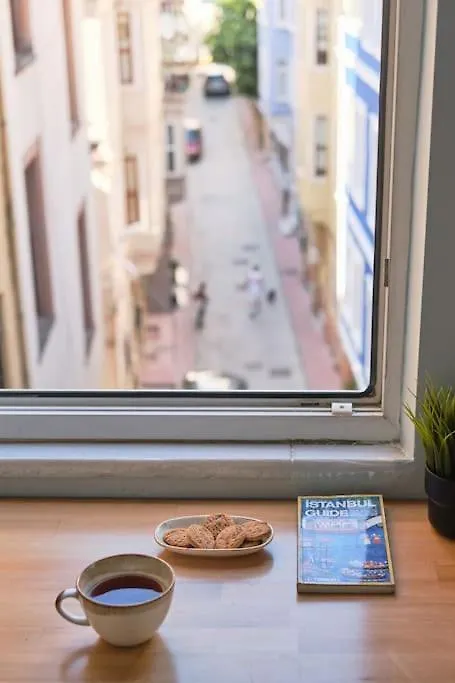 Modern&Old Style Flat In The Center Of Cihangir Istanbul