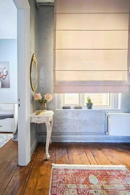 Modern&Old Style Flat In The Center Of Cihangir Istanbul Turkey